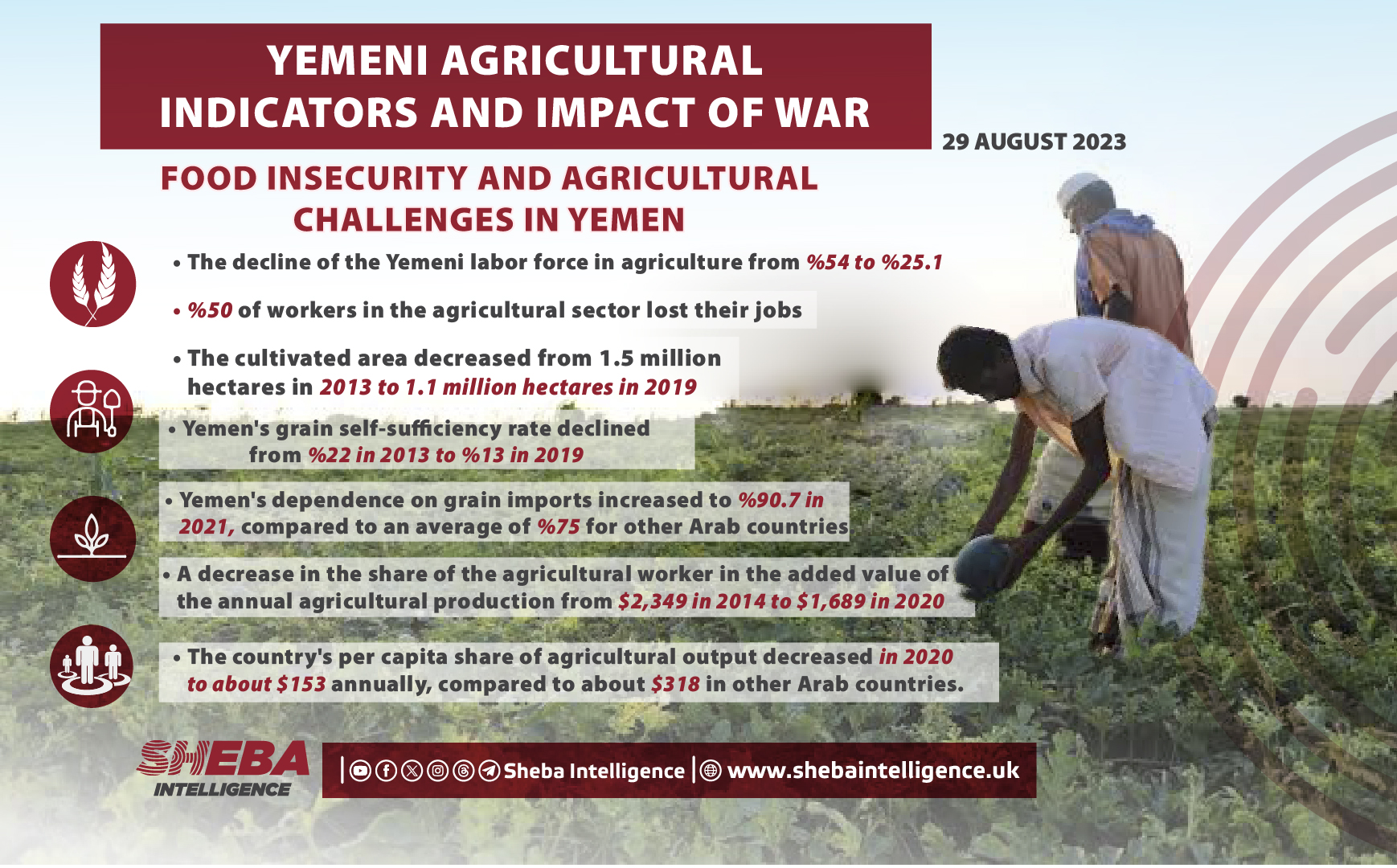 Food Insecurity and Agricultural Challenges in Yemen (Video)